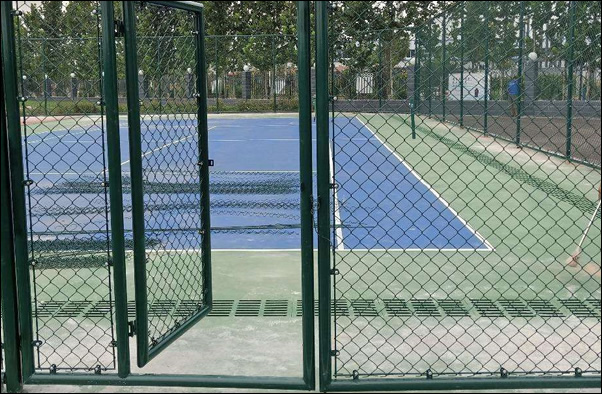 Green Color Plastic Coated Chain Link Fence for Sports Ground
