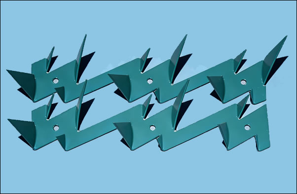 Razor wall spikes against birds green powder coated